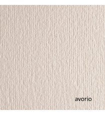 Cartoncino Elle Erre - 70 x 100 cm - 220 gr - avorio 101 - Fabriano - blister 10 fogli