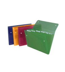 Portadocumenti a soffietto Ice - 6 tasche - 22 x 30 cm - PP - colori assortiti - Rexel