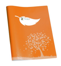 Coprimaxi Green - 21 x 30 cm - carta - 120gr  - c/tasche - arancione - Colorosa