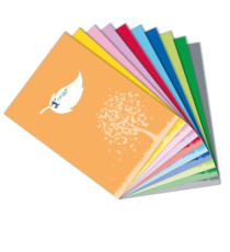 Coprimaxi Green - 21 x 30 cm - carta - 120gr  - c/tasche - verde chiaro - Colorosa