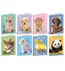 Maxiquaderno City Pet  - A4 - 4 mm - 21 fogli - 80 gr - Blasetti