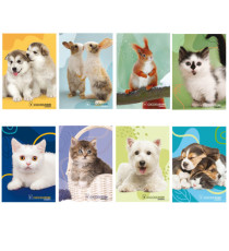 Maxiquaderno Cucciolissimi  - A4 - 4 mm - 21 fogli - 80 gr - Blasetti