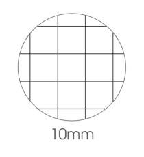 Maxiquaderno Cute fantasia - A4 - 10mm - 40+2 fogli - 80gr - BM