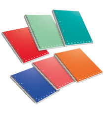 Maxiquaderno Monocromo - A4 - 1 rigo - 70 fogli - 80gr - c/fori  - spiralato - Pigna