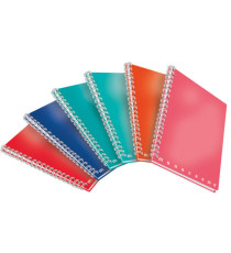 Maxiquaderno Monocromo - A4 - 1 rigo - 70 fogli - 80gr - s/fori  - spiralato - Pigna