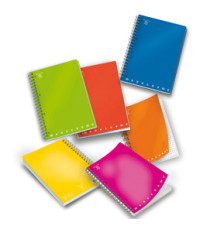 Quaderno Monocromo - A5 - 4mm - 70 fogli - 80gr - c/fori - spiralato - Pigna