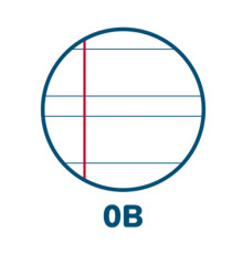 Ricambi forati rinforzati Pignaric - A4 - rigo di 3a - 80gr - Pigna - conf. 40 pezzi