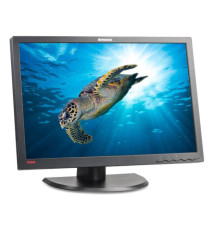 [A ]Monitor Lenovo L2452pwc