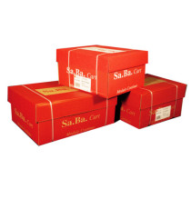 Carta in modulo continuo - 24 x 12  - 2 copie - 53 gr - piste staccabili - bianco - Sabacart - conf. 1000 fogli