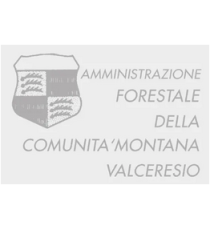 Gomma di ricambio 24x45mm personalizzabile per timbro autoinchiostrante o manuale max 6 righe alta qualità