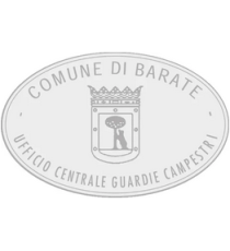 Gomma di ricambio ovale 35x55mm personalizzabile per timbro autoinchiostrante o manuale max 6 righe alta qualità