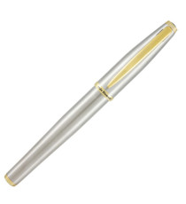 Penna stilografica Aldo Domani - punta M - fusto silver - Monteverde