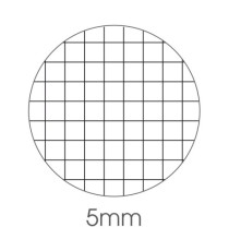 Maxiquaderno Be More Crazy - A4 - 5mm -  alta fogliazione - 48+2 fogli - 100 gr - BM