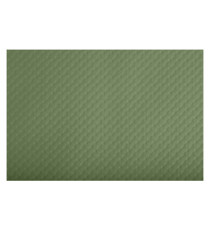 Tovaglietta monouso Tiss Lack - 30 x 40 cm - carta - verde oliva - Pro Nappe - conf. 500 pezzi