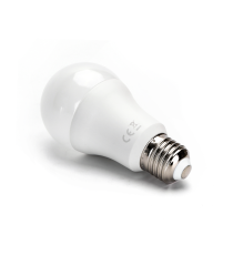Lampadina led A60 17W attacco E27 1720 lumen 6500K luce fredda D60xH119mm Equivalenza lampada incandescente 111W
