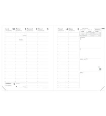 Agenda del Professore 2027 - copertina Club - 21 x 27 cm - rosa lampone - Quo Vadis