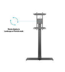 Multibrackets - Piantana da pavimento 75 - Vesa 800x400 - Max 60kg - regolabile in altezza fino a 180 cm