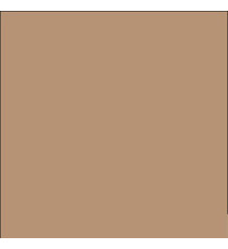 Cartine antigrasso per alimenti - 20 x 32,5 cm - avana - Leone - conf. 500 pezzi