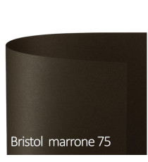 Cartoncino Bristol Color - 70 x 100 cm - 200 gr - marrone 75 - Favini - conf. 10 pezzi