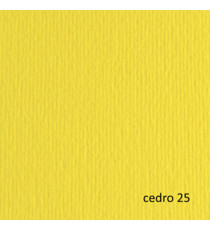 Cartoncino Elle Erre - 70 x 100 cm - 220 gr - cedro 125 - Fabriano - blister 10 fogli