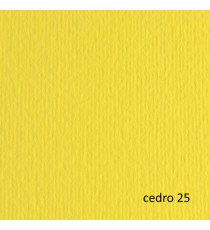 Cartoncino Elle Erre - 70 x 100 cm - 220 gr - cedro 125 - Fabriano - blister 10 fogli