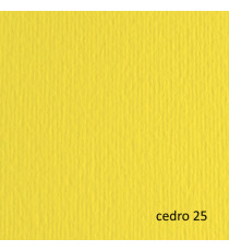 Cartoncino Elle Erre - 70 x 100 cm - 220 gr - cedro 125 - Fabriano - blister 10 fogli