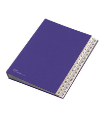 Classificatore numerico 1/31 - 643D - 24x34 cm - blu - Fraschini