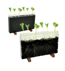 Contenitore Esplora il sottosuolo - 30 x 19 x 4 cm - Cwr