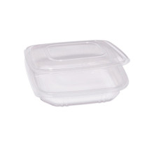 Contenitori in PP - con coperchio incernierato - 21,5 x 21,5 x 3,4 cm - Europack - pack 50 pezzi