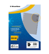 Divisori mensili Gen/Dic  12 tacche - A4 Maxi - PP - grigio - Starline