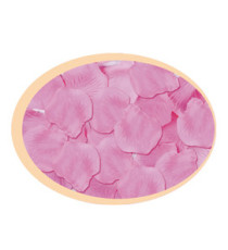 Petali sintetici - rosa - Big Party - busta 144 pezzi