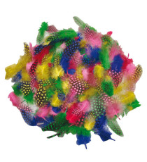 Piume tropicali - dimensione 50-100 mm - colori assortiti - DECO - conf. 100 pezzi
