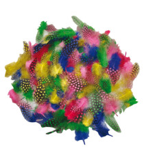 Piume tropicali - dimensione 50-100 mm - colori assortiti - DECO - conf. 100 pezzi