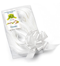 Nastri strip 6800 - in polipropilene - bianco 01 - per fiocco autocomponibile - 31 mm - diametro 13 cm - Brizzolari - co