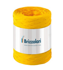 Nastro Rafia sintetica - giallo 02 - 5mmx200mt - Brizzolari