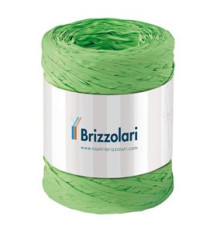Nastro Rafia sintetica - verde chiaro 10 - 5mmx200mt - Brizzolari