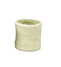 Nastro Raphia Vintage - verde nilo 62 - 200mt - Bolis