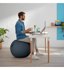 Palla Ergo Cosy - da seduta - 65 cm - grigio - Leitz