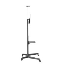 Supporto a pavimento - per TV da 37'' a 70'' - Ewent