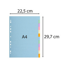 Separatore Forever Pastel - A4 - 12 tasti - cartoncino - 170 gr - Exacompta