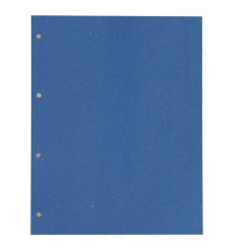 Separatori - cartoncino Manilla 200 gr - 22x30 cm - azzurro - Cartotecnica del Garda - conf. 200 pezzi