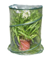 Serra Pop-up Anthurium - 70 x 100 cm - trasparente - Verdemax