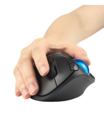 Trackball portatile Pro Fit Ergo TB450 - wireles - nero - Kensington