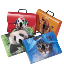 Valigetta Animal Friends Color - 28 x 38 cm - dorso 5 cm - PP - fantasie assortite - Colorosa