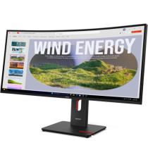 [Scatola aperta]Monitor Lenovo T34WD-40