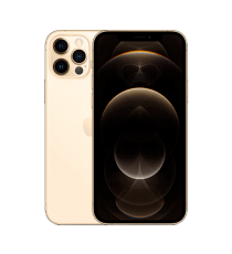 iPhone 12 Pro Usato Garantito | 256GBA+ / Oro / 100% nuova