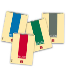 Blocco Pignastyl spiralato - A4 - 210 x 297mm - 80gr - 60 fogli - 1 rigo - Pigna