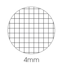 Maxiquaderno Animal fantasia - A4 - 4mm - 40+2 fogli - 80gr - BM
