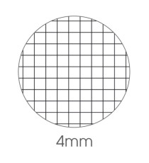 Maxiquaderno Animal fantasia - A4 - 4mm - 40+2 fogli - 80gr - BM
