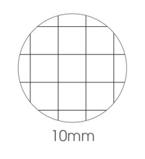 Maxiquaderno Color 80 Basic - A4 -  10mm - 80 fogli - 80gr - BM